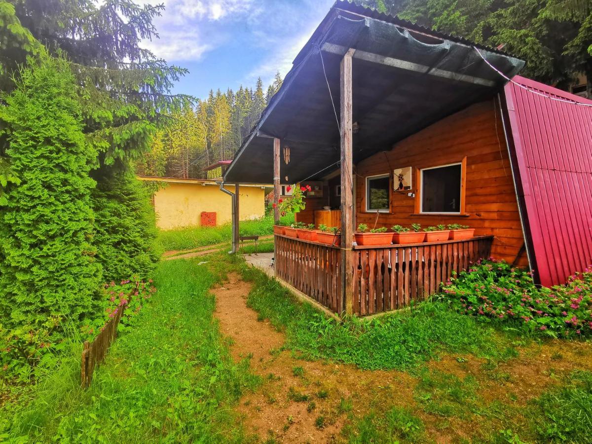 Orlino Holiday Park Sarnitsa Extérieur photo